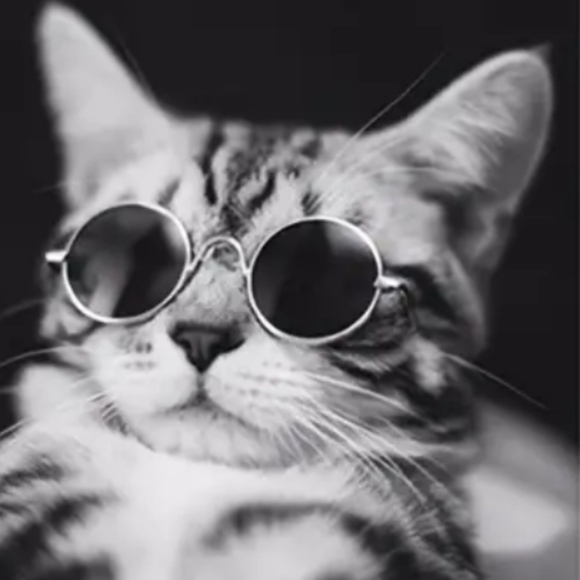 🍄Gold Wireframe Round Retro Cat / Pet Sunglasses - Picture 3 of 6